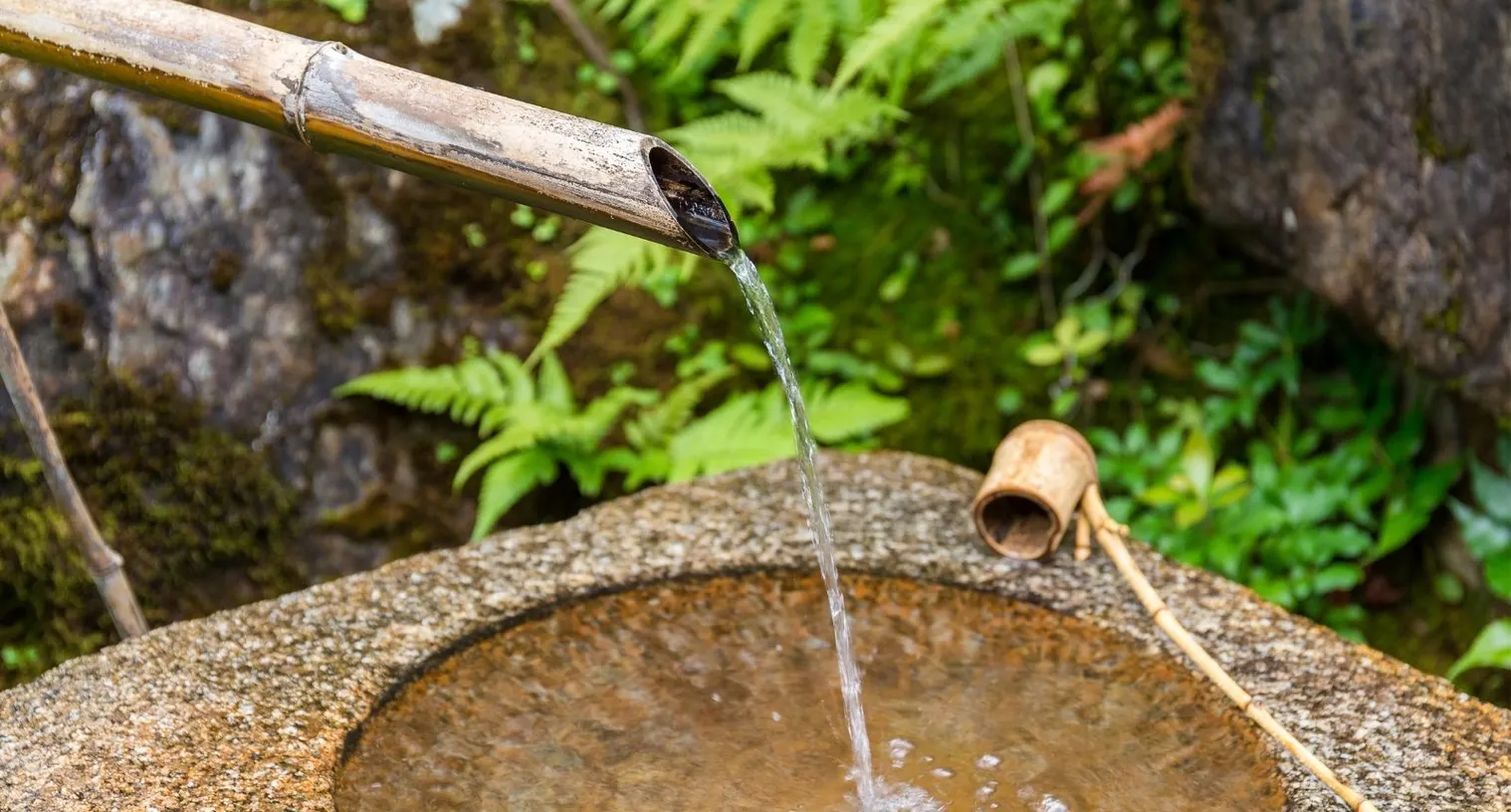 A hidden room with a steaming hot spring, herbs along the walls, and a pot simmering over a fire